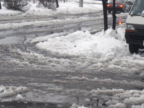 どっしり重たい雪ですね