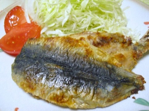 「青魚」には栄養がいっぱい！