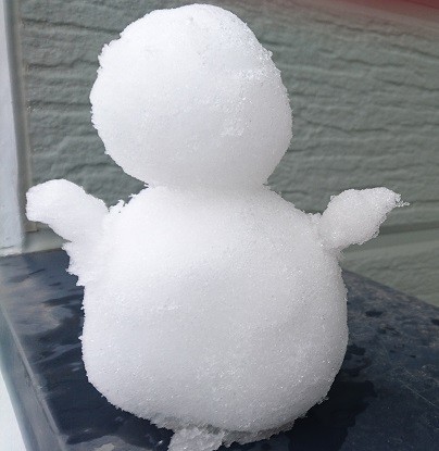 今朝の雪