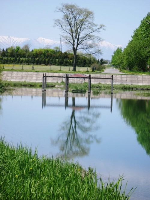 今日のチャリ旅は・・・まさか。