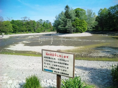 池の天日干しをしてます（笑）。