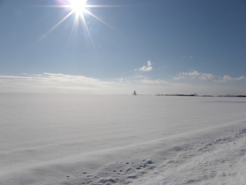 ３月、中札内村の雪景色