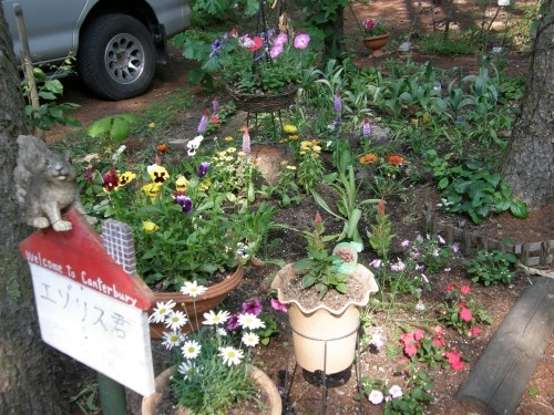 中札内・花フェスタに向け夏の花壇を作ってます！（その１）