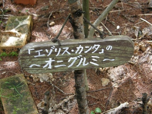 「エゾリス・カンタ」のオニグルミ~エゾリス君の大好物~元気に成長中!