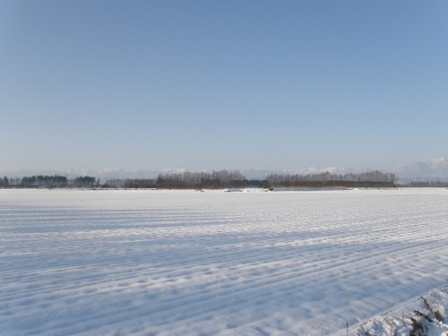 日高山脈のある風景・中札内村(3)~12月雪の積もった畑と・・~