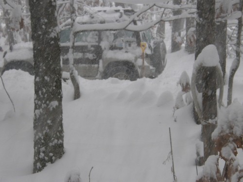 早朝から雪がとまりません!どんどん増えてくる?~中札内村より~