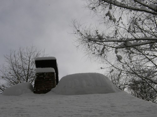 3月になって・・スイッチが入った?南十勝の雪!