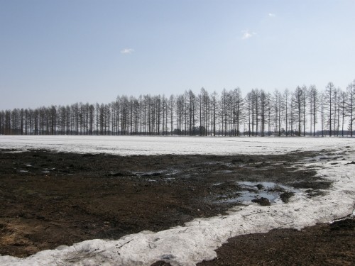 4月・中札内村の農村風景~強い日差しでみるみる雪どけ中~