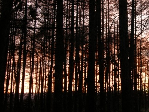 森が真っ赤・・日高山脈が燃えている？「カフェ」からの夕焼け！