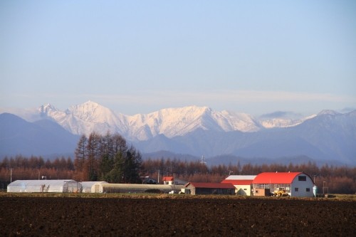 初冬11月・・”旅人の目から見た”「中札内・更別村の農村風景」