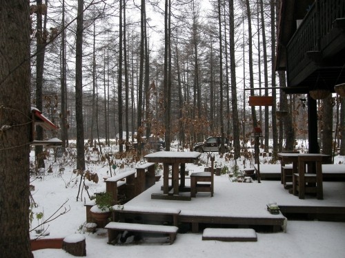 今シーズン初めての雪景色～昨日から２日続けて降ってます～