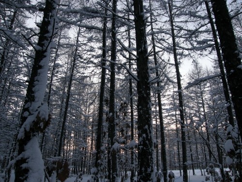 今日の中札内村・・「雪のち夕焼け」