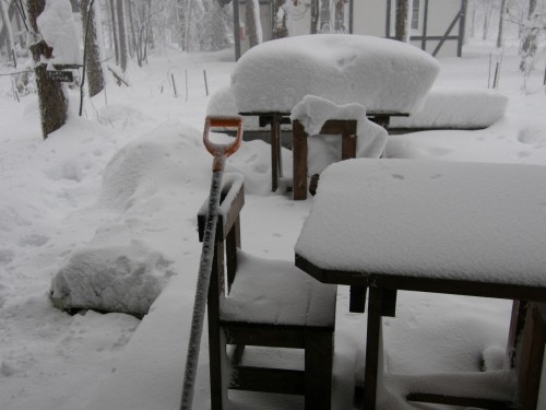 昨日からの雪、どんどん激しくなって、埋もれてしまいそう～！