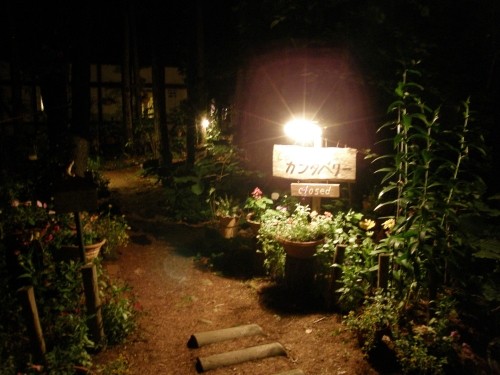 真っ暗な森の中・ほのかな灯りでの照らされる花フェスタ・カンタベリーの庭