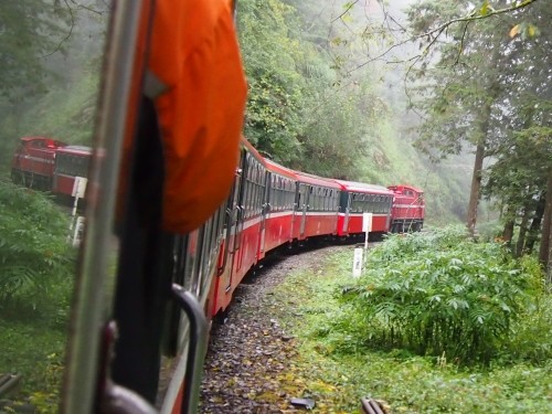 2011台湾ぐるり一周の旅vol.8～阿里山登山鉄道で御来光を・・～