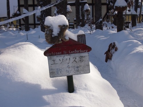 「雪の積もった朝・・」１２/３０（金）カフェは年内最後の営業です。