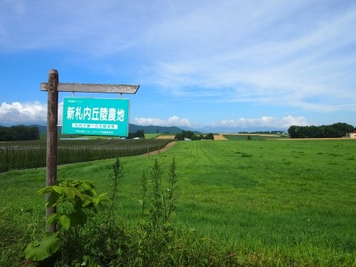 新札内丘陵農地~中札内村~夏の彩りの風景