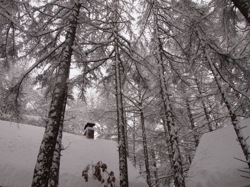 今年は雪が多いかな?昨夜から30センチ以上の積雪です。