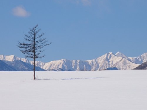 ２月の中札内村‥日高山脈のある風景