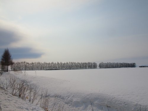 春を待つ”更別村の農村風景”を散策しています。～その１～