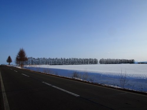 春を待つ”更別村の農村風景”を散策しています。～その２～