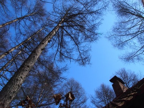 まだまだ雪が残る宿のまわり・・・快晴の新年度4月1日。