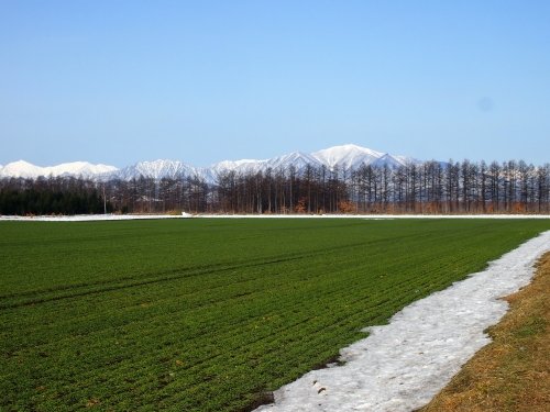 4月、雪どけ進む・・中札内村の農村風景