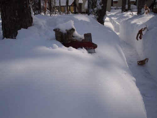 昨日、一日中降り続いた雪で・・も埋もれてしまいました。