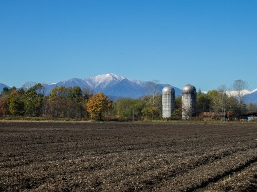 日高山脈は冠雪、農村風景はいよいよ、今年のクライマックスに・・