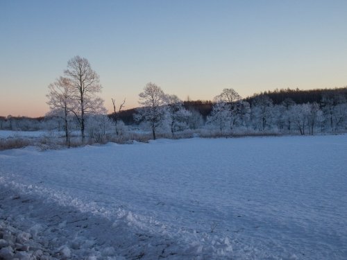 今年もあと３日・・「霧氷ツアー」が先日から始まっています。