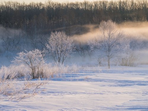 マイナス２３℃毛嵐の立ち上がる幻想的な霧氷の風景