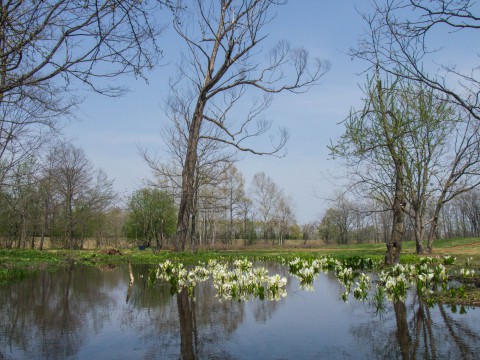 観光シーズン到来、北海道ガーデン街道「六花の森」