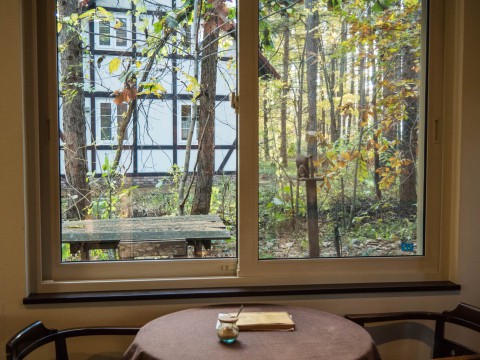 カフェの窓からみる”秋”・・エゾリス君のいる風景。