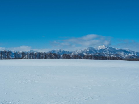 十勝らしい冬の快晴・・見渡す限り真っ白な雪原と日高山脈