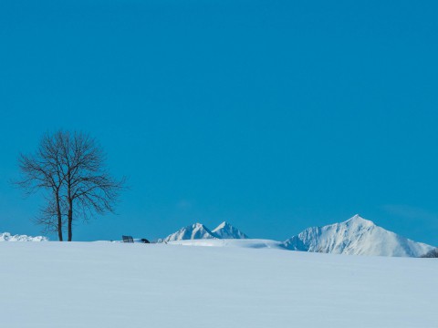 日差しが強くなる2月・・真っ白な雪原と日高山脈