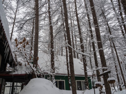 昨夜から今朝にかけ雪、昼から晴れ・・そして、ついに屋根から落雪!