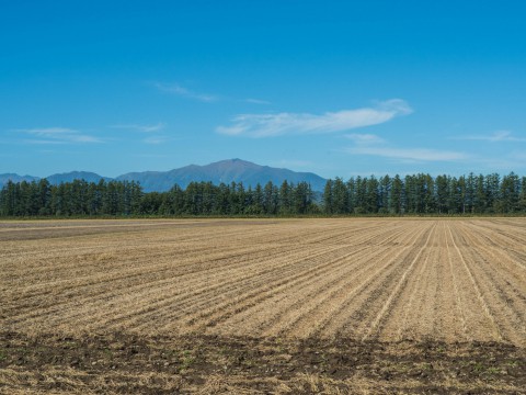 さわやかな秋晴れの・・中札内村の農村風景と日高山脈。