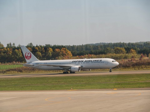 JAL”どこかにマイル”で帯広・・エゾリス君に会いに来ませんか?