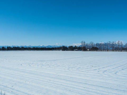 厳しい冷え込み、快晴、真っ白な雪原の後ろは日高山脈。