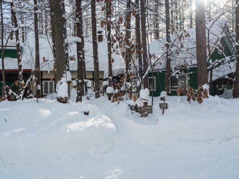 東京で大雪を降らせた低気圧が十勝にもやって来ました。