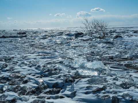 北海道・十勝　冬こそ写真撮影の旅へ～昨年投稿のコラムより～