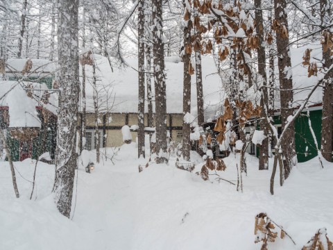 今年の2月は雪が多い?3日連続の大雪です。