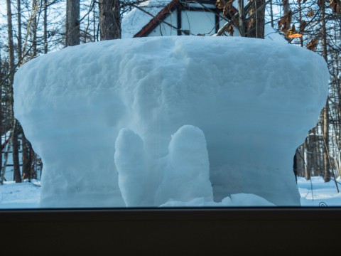 吹雪の後の晴天・・カフェの窓ぎわには”エゾリス君の耳”??