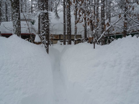 大雪です!中札内に来て11年、過去最高の積雪量になりました。