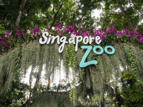2018シンガポール&沖縄の旅(2)セントーサ島とシンガポール動物園