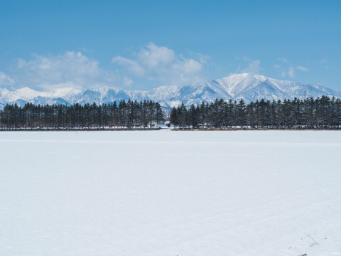 4月中旬ですが・・2夜連続積雪で畑はすっかり雪景色。