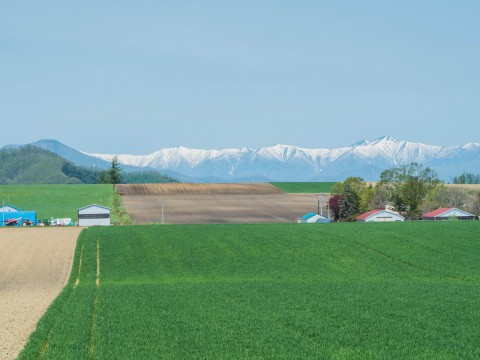 新緑の季節は・・残雪の日高山脈と畑のコントラストがきれい。