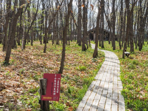 美術館を無料開放中の「中札内美術村」で癒しの休日を・・