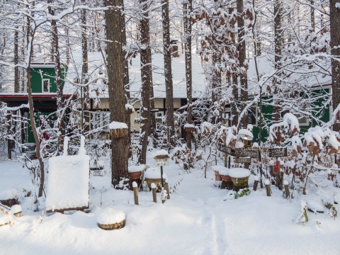 ついに来ました”雪景色”あっという間に”冬”ですね!