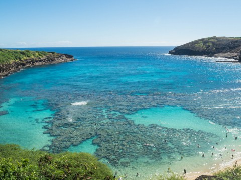 2018常夏の楽園ハワイ(ホノルル・オアフ島)へvol.6～珊瑚の海ハナウマ湾～